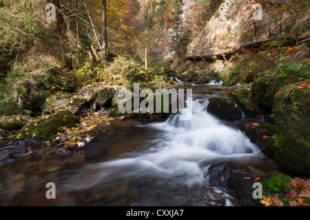 Wasserfall im Breisgau im Schwarzwald, Baden-Württemberg, Ravennaschlucht, Ravenna Schlucht im Herbst Stockfoto