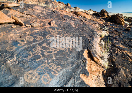 Petroglyphen, Felsgravuren der Buschmänner oder San, in der Nähe von Kenhardt, Northern Cape, Südafrika, Afrika Stockfoto