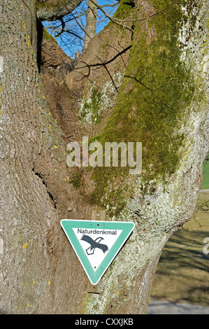 Zeichen Naturdenkmal, Deutsch für Naturdenkmal, auf einem Lindenbaum, Wald Bei Winhoering, Pleiskirchen, Bayern, Oberbayern Stockfoto