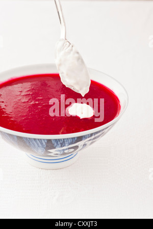 Traditionelle russische rote-Bete-Suppe mit Sauerrahm Aufstrich kalt serviert Stockfoto