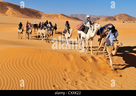 Touareg Kamel Karawane mit Touristen, die durch die niedrigen Sanddünen des Erg Mehejibad, Immidir, Algerien, Sahara, Nordafrika Stockfoto