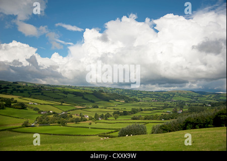 Die walisische Landschaft oberhalb Trefeglwys, Powys. Montgomeryshire.  SCO 8663 Stockfoto