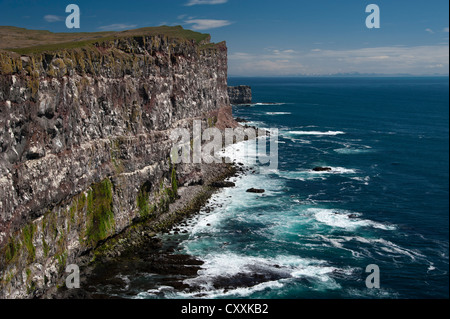 Vogelfelsen von Látrabjarg, Westfjorde, Island, Europa Stockfoto