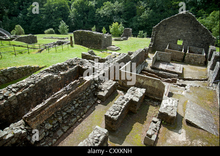 Die stillgelegten und verlassenen führen Minen am Bryntail am Fluss Afon Clywedog.  SCO 8669 Stockfoto