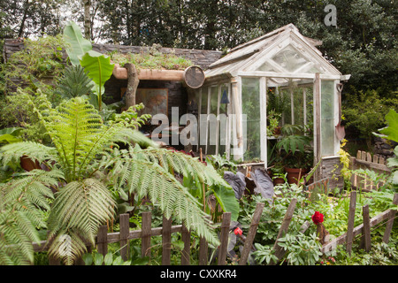 Zuteilung mit einem Baumfarn Dicksonia Antarctica in einem alten Gewächshaus in einem rustikalen Garten Bananenpflanze Chelsea RHS Blumenschau Gärten London UK Stockfoto