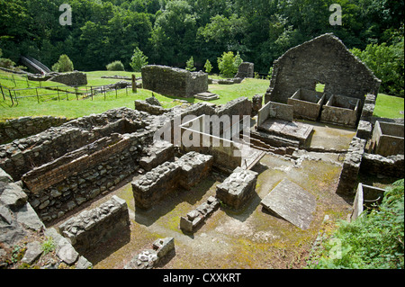 Die stillgelegten und verlassenen führen Minen am Bryntail am Fluss Afon Clywedog.  SCO 8670 Stockfoto