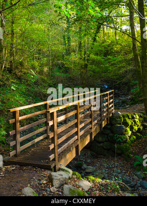 Fußgängerbrücke über Brockle Beck in Federn Holz im Lake District Park in der Nähe von Keswick, Cumbria, England United Kingdom Stockfoto