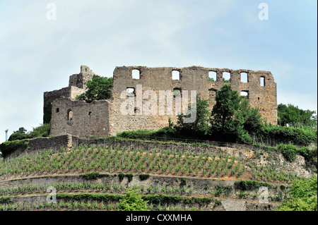 Weinberge rund um die Burgruine der Burg Staufen, zerstört 1632, Staufen Im Breisgau, Südschwarzwald Stockfoto