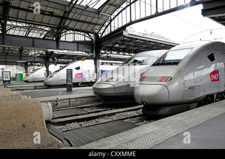 TGV-Züge, Bahnhof Gare de I'Est, Station, Paris, Frankreich, Osteuropa Stockfoto