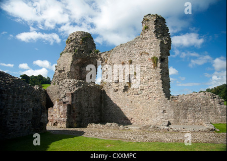 Das 13. Jahrhundert Ruinen von Montgomery Burg auf dem Burgberg, Powys, Mid Wales, Vereinigtes Königreich.  SCO 8687 Stockfoto