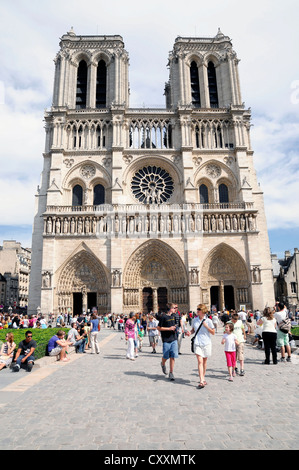 Notre Dame de Paris, Ile De La Cite, Paris, Frankreich, Europa Stockfoto