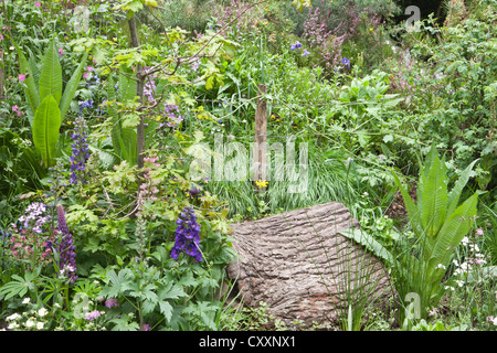 RHS Chelsea Blumenschau Gärten 2012 London UK Stockfoto