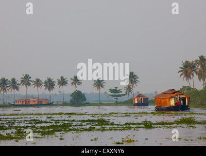 Hausboote, Segeln auf Kerala Backwaters, Alleppey, Indien Stockfoto