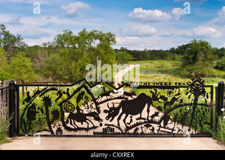 Bearbeitetes Eisen-Gatter auf Weg zur Ranch, Willow City Loop im Hügelland in der Nähe von Fredericksburg, Texas, USA Stockfoto