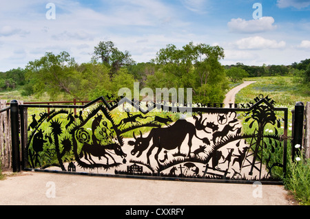 Bearbeitetes Eisen-Gatter auf Weg zur Ranch, Willow City Loop im Hügelland in der Nähe von Fredericksburg, Texas, USA Stockfoto