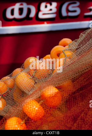 Fischernetze In Mahe Port, Indien Stockfoto
