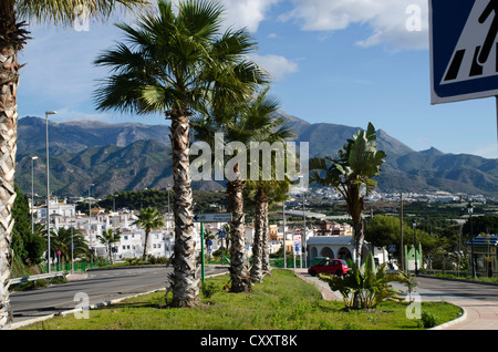 Die Straße in Nerja mit Palmen im Vordergrund und weißen Häusern im Hintergrund Stockfoto
