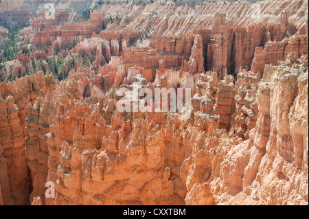 Einzigartigen Felsformationen im Bryce Canyon in Utah, USA gelegen. Stockfoto