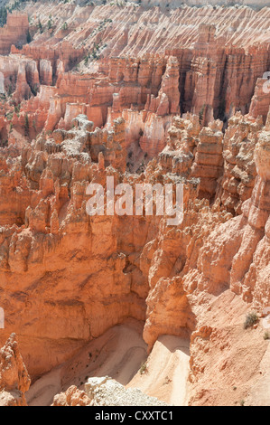 Einzigartigen Felsformationen im Bryce Canyon in Utah, USA gelegen. Stockfoto