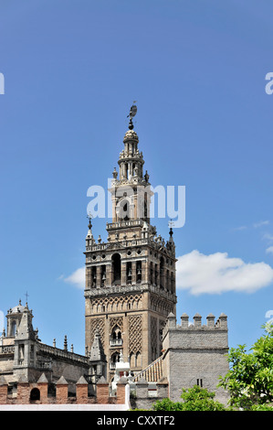 Giralda Turm, Kathedrale von Sevilla, Catedral de Santa María De La Sede, Sevilla, Andalusien, Südspanien, Spanien, Europa Stockfoto