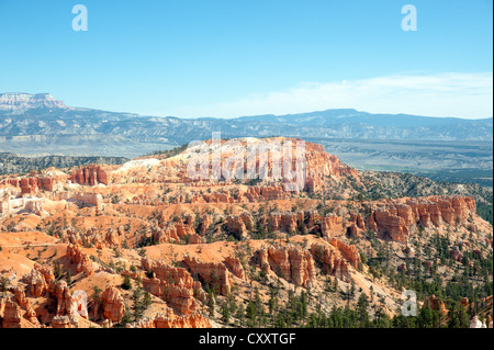 Einzigartigen Felsformationen im Bryce Canyon in Utah, USA gelegen. Stockfoto