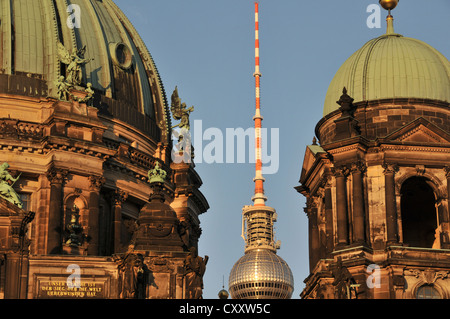 Kathedrale und TV Turm, Berlin, Deutschland Stockfoto