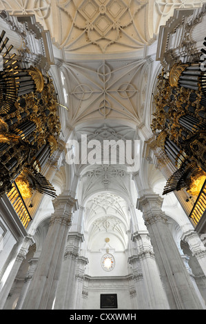 Gewölbte Decke, Kathedrale Santa Maria De La Encarnación, Kathedrale von Granada, Granada, Andalusien, Spanien, Europa Stockfoto