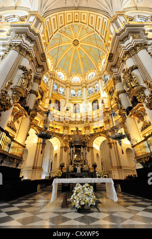 Gewölbte Decke und Altar Bereich, Kathedrale Santa Maria De La Encarnación, Kathedrale von Granada, Granada, Andalusien, Spanien, Europa Stockfoto