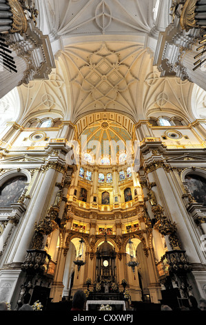 Gewölbte Decke und Altar Bereich, Kathedrale Santa Maria De La Encarnación, Kathedrale von Granada, Granada, Andalusien, Spanien, Europa Stockfoto