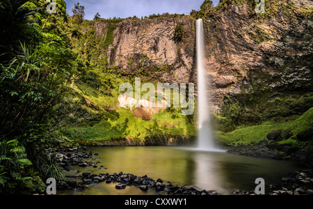 Bridal Veil Falls, Raglan, Waikato, Nordinsel, Neuseeland Stockfoto