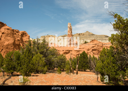 Sand Rohr im Kodachrome Basin State Park, Utah, USA Stockfoto