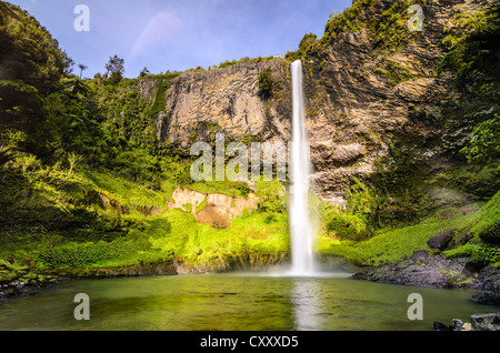 Bridal Veil Falls, Raglan, Waikato, Nordinsel, Neuseeland Stockfoto