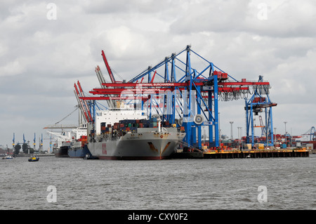 OOCL San Francisco, Containerschiff, Baujahr 2000, 277m, Containerhafen, Hansestadt Hamburg Stockfoto