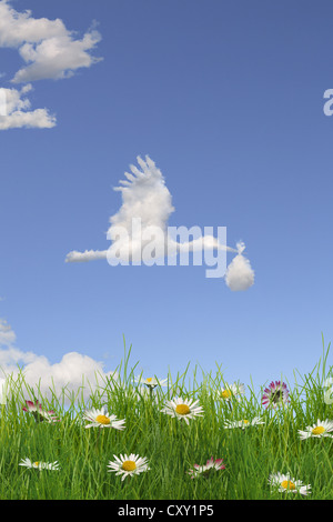 Wolkenbildung bilden die Form von einem Storch bringt ein Baby in den Himmel über einer blühenden Wiese, Abbildung Stockfoto