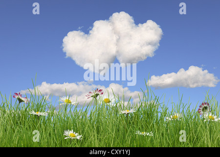 Blumenfeld, zwei Wolken geformt wie Herzen, Abbildung Stockfoto