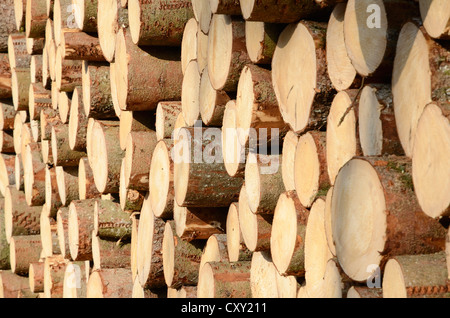 Frisch geschnittene Fichte Protokolle stapelten Holz wartet auf Entfernung in der Nähe von Raubling, Bayern Stockfoto