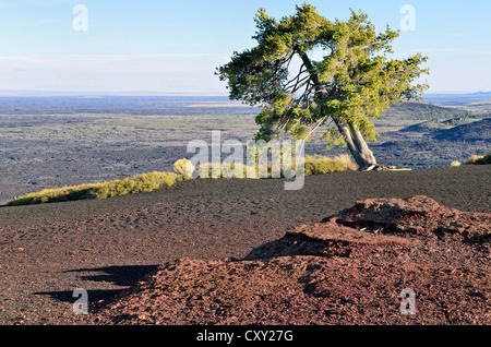 Blick vom Plateau des Inferno Kegels Gipfel, Craters of the Moon National Monument, Arco, Highway 20, Idaho, USA Stockfoto