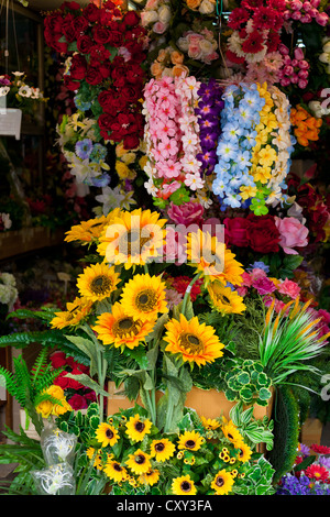 Sonnenblumen auf dem Chatuchak-Markt in Bangkok, Thailand Stockfoto