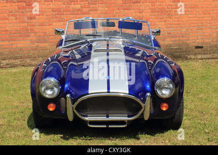 AC Cobra, Brooklands Museum, Weybridge Surrey England UK Stockfoto