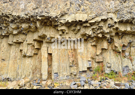 Sechseckige Säulen, Basalt Felsformationen am Tower Creek in der Nähe der Tower Fall, Yellowstone-Nationalpark, Wyoming, USA Stockfoto