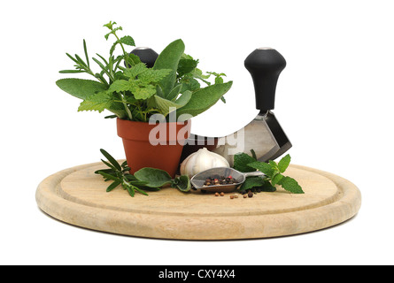 Mezzaluna oder Kraut Chopper, Kräutern, Gewürzen und Knoblauch auf einem Holzbrett Stockfoto