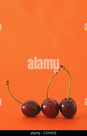Three fresh cherries Stockfoto