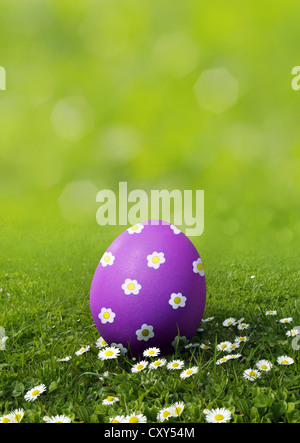 Lila Osterei bemalt mit Gänseblümchen auf einer Wiese mit Gänseblümchen Stockfoto