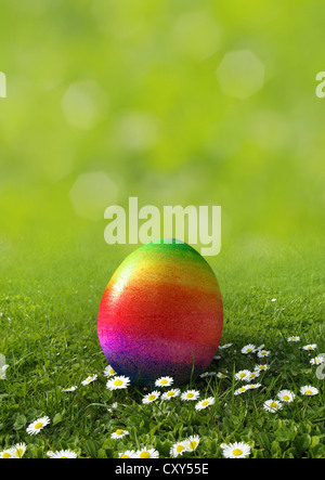 Regenbogenfarbige Easter Egg auf einer Wiese mit Gänseblümchen Stockfoto