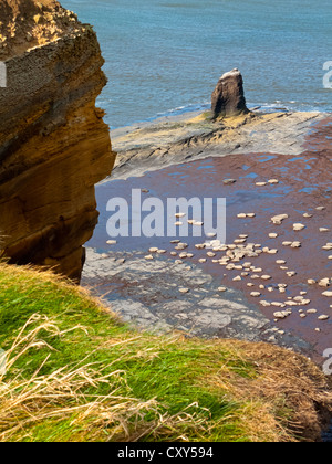 Die Küste gegen Bay in der Nähe von Whitby in North Yorkshire England UK mit Rock-Stacks auf den Strand und Felsen im Vordergrund Stockfoto