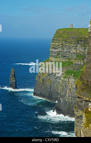 Cliffs of Moher, Co. Clare, Irland Stockfoto