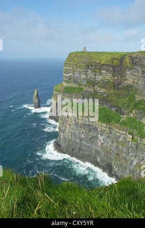 Cliffs of Moher, Co. Clare, Irland Stockfoto