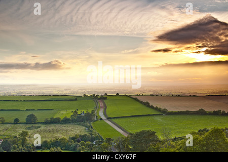 Die untergehende Sonne die Landschaft in der Nähe von Corton Denham in Somerset. Stockfoto