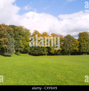 Grasgrün Park mit Bäumen im Herbst Stockfoto
