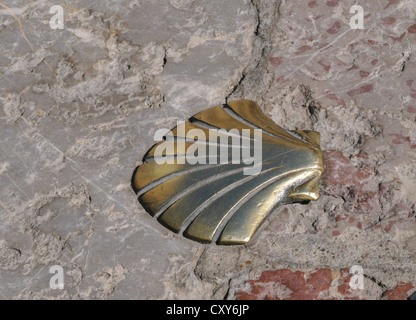 Metall Jakobsmuschel Muschel Symbolsatz im Pflaster markiert den Pilgerweg nach Santiago De Compostela. Leon Stockfoto